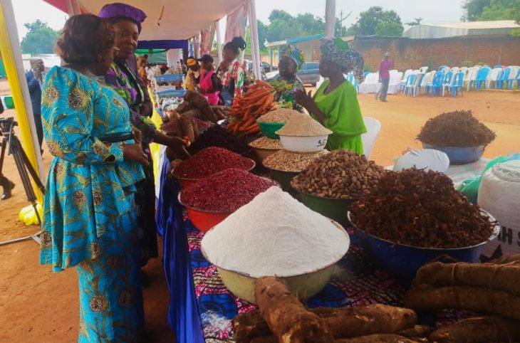 Centrafrique : une foire pour valoriser les produits locaux dans la commune de Bégoua