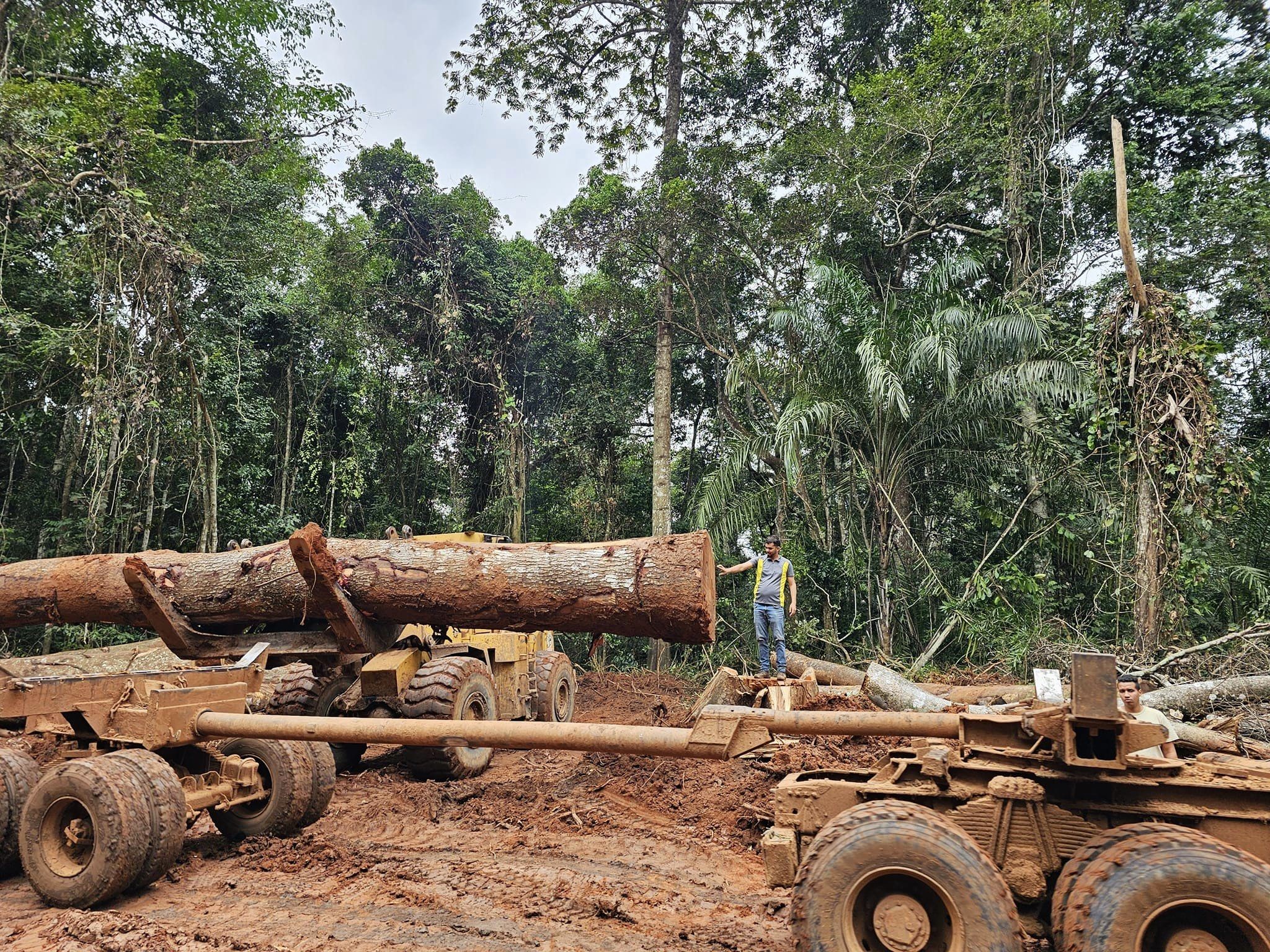 Centrafrique : la destruction d’un pont par la société Centrabois provoque la colère des habitants de Bobèlè