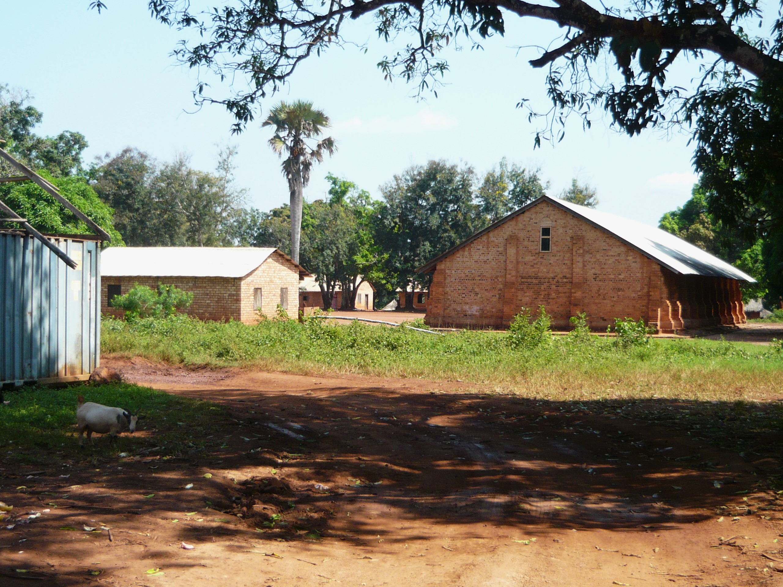 Centrafrique : la montée du paludisme fait craindre le pire à Obo et dans sa périphérie