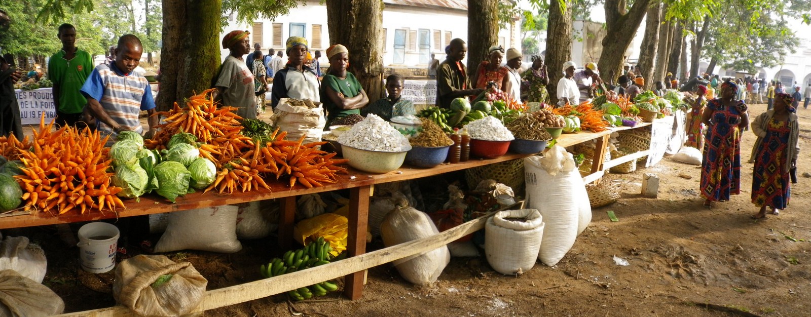 Centrafrique : Bozoum ouvre la 19e édition de sa foire agricole