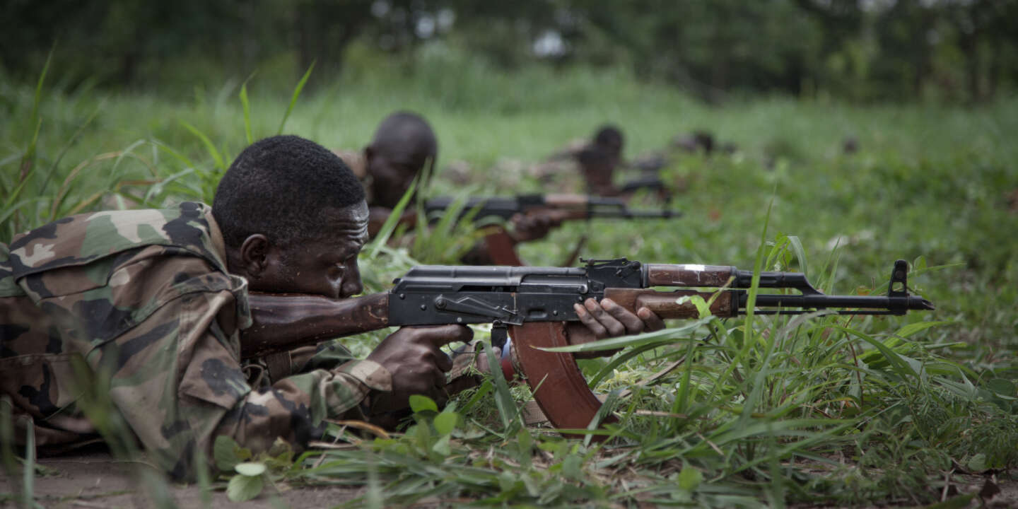 Centrafrique : les 13 personnes prises en otage dans la Nana-Bakassa libérées après une offensive de l’armée