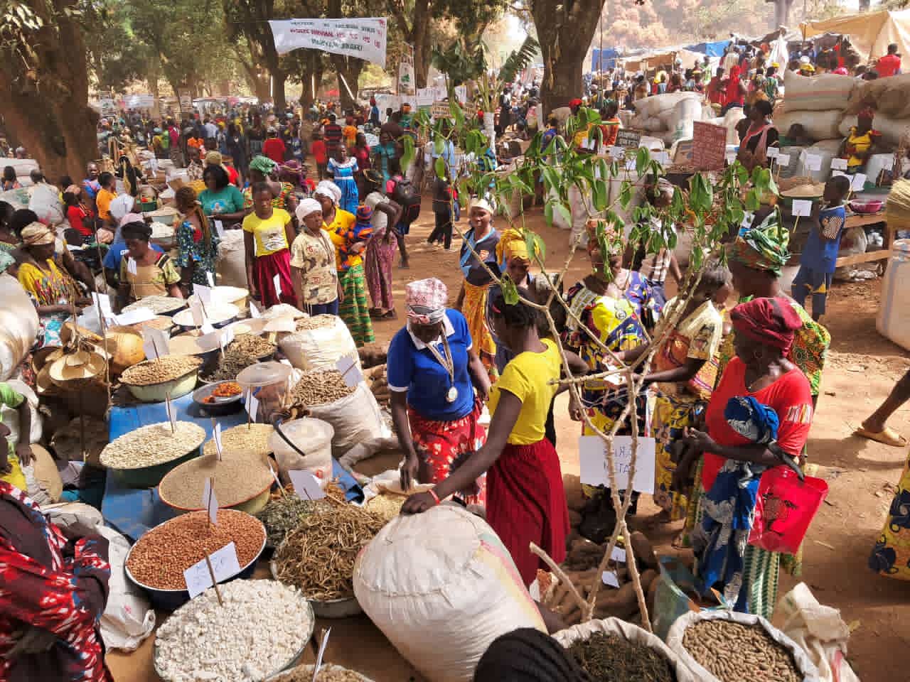 Centrafrique : clôture de la foire agricole de Bouar sur fond de satisfaction