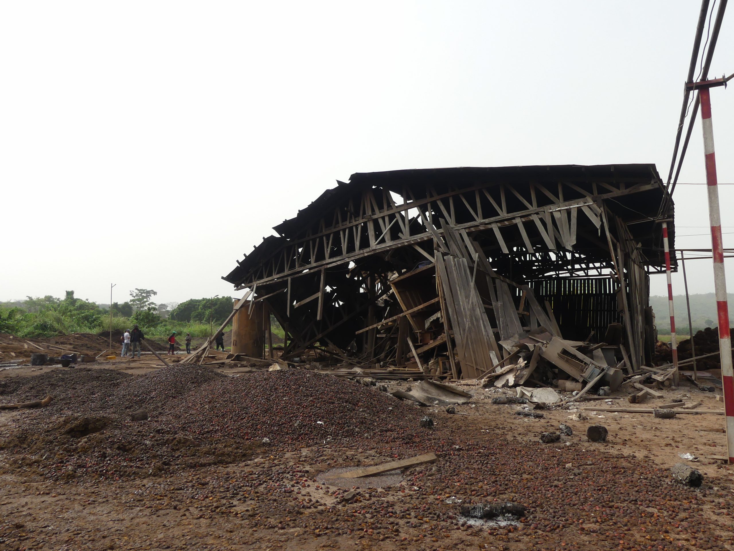 Centrafrique : les activités provisoirement suspendues à l’usine Palme D’or de Lèssè après un drame