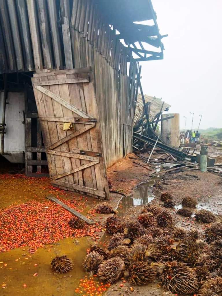 Centrafrique : 3 morts et près d’une quinzaine de blessés dans une explosion à l’usine de Palme D’or