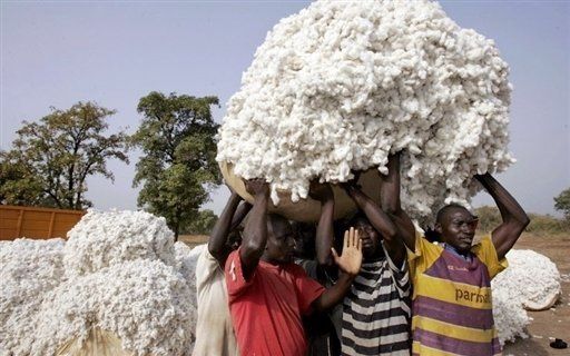 Mag/Agri: Le secteur coton est-il en voie de disparition ?