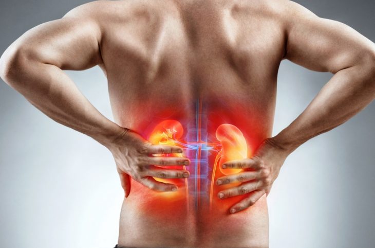 Comment entretenir ses reins?