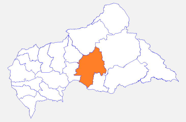 Centrafrique : alerte sur la présence du virus de Monkey Pox dans la Ouaka