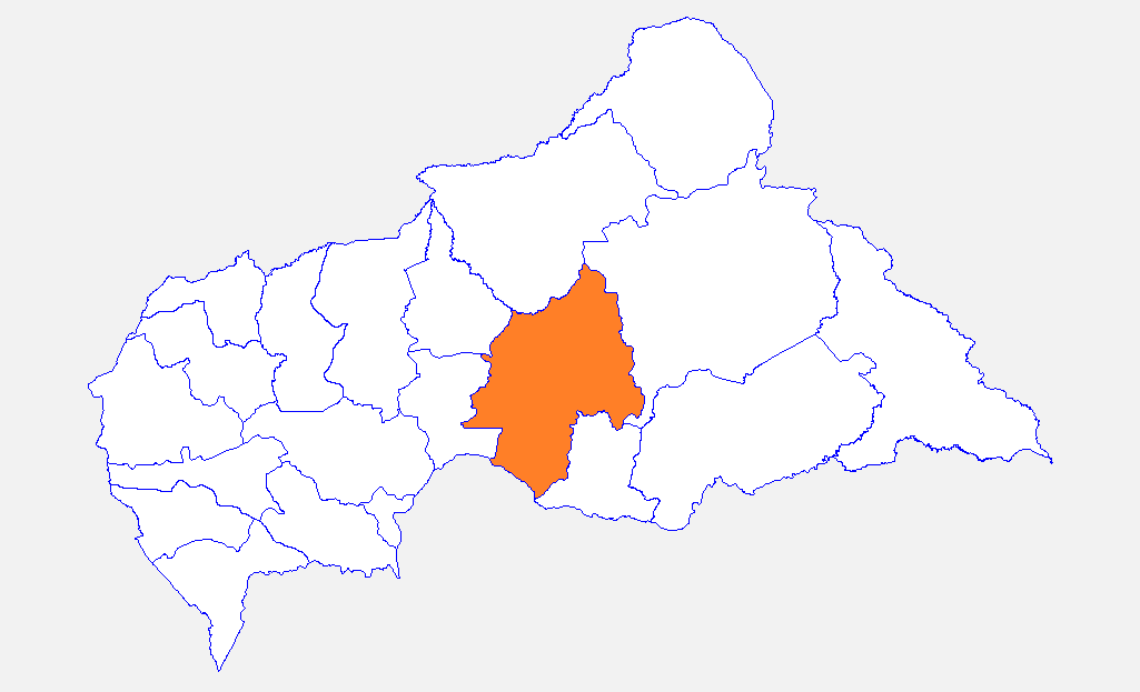 Centrafrique : alerte sur la présence du virus de Monkey Pox dans la Ouaka