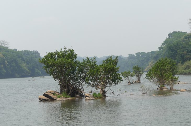 Centrafrique : chasseurs et pêcheurs demandent plus d’accompagnement dans les aires de conservation de Chinko