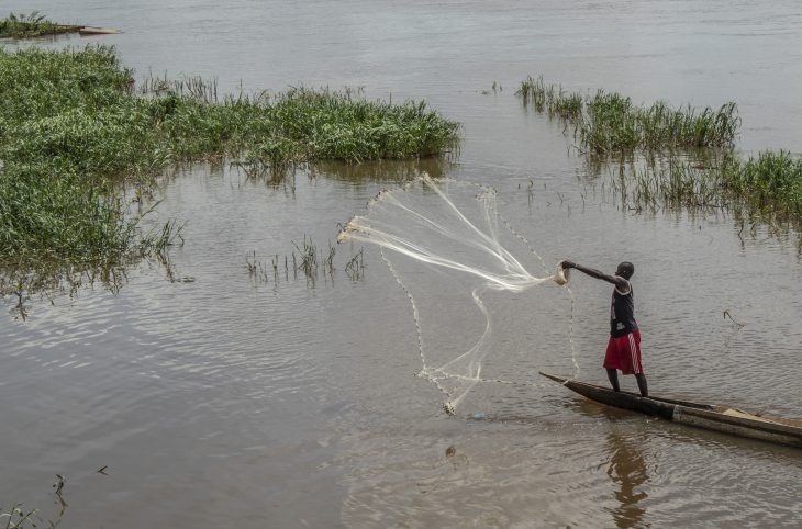Centrafrique : la pêche, mise à mal par des hippopotames à Mobaye