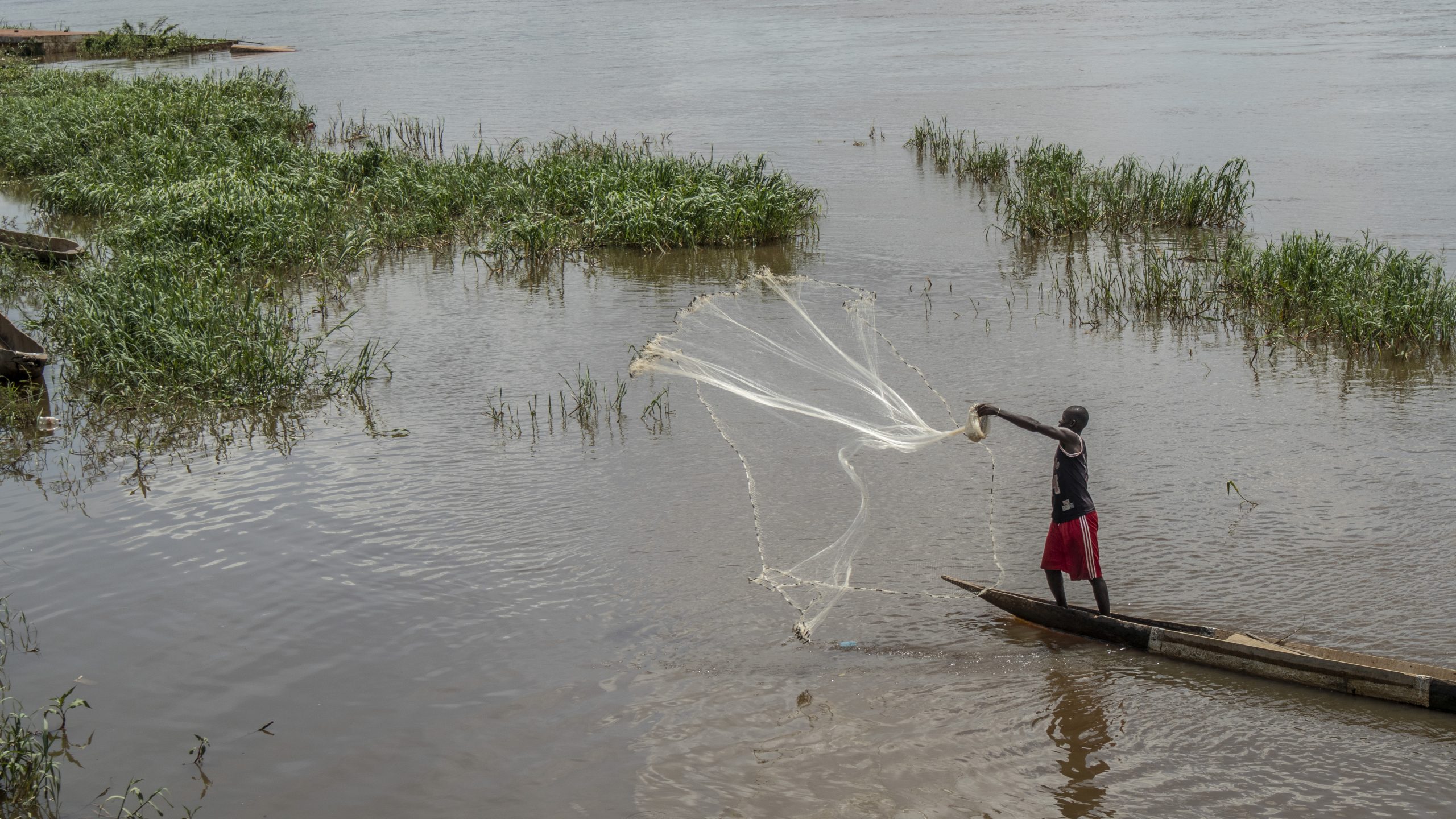 Centrafrique : la pêche, mise à mal par des hippopotames à Mobaye