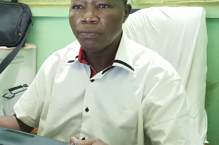 "Couper illégalement un arbre, sans autorisation de l’Etat, est passible d’infraction"