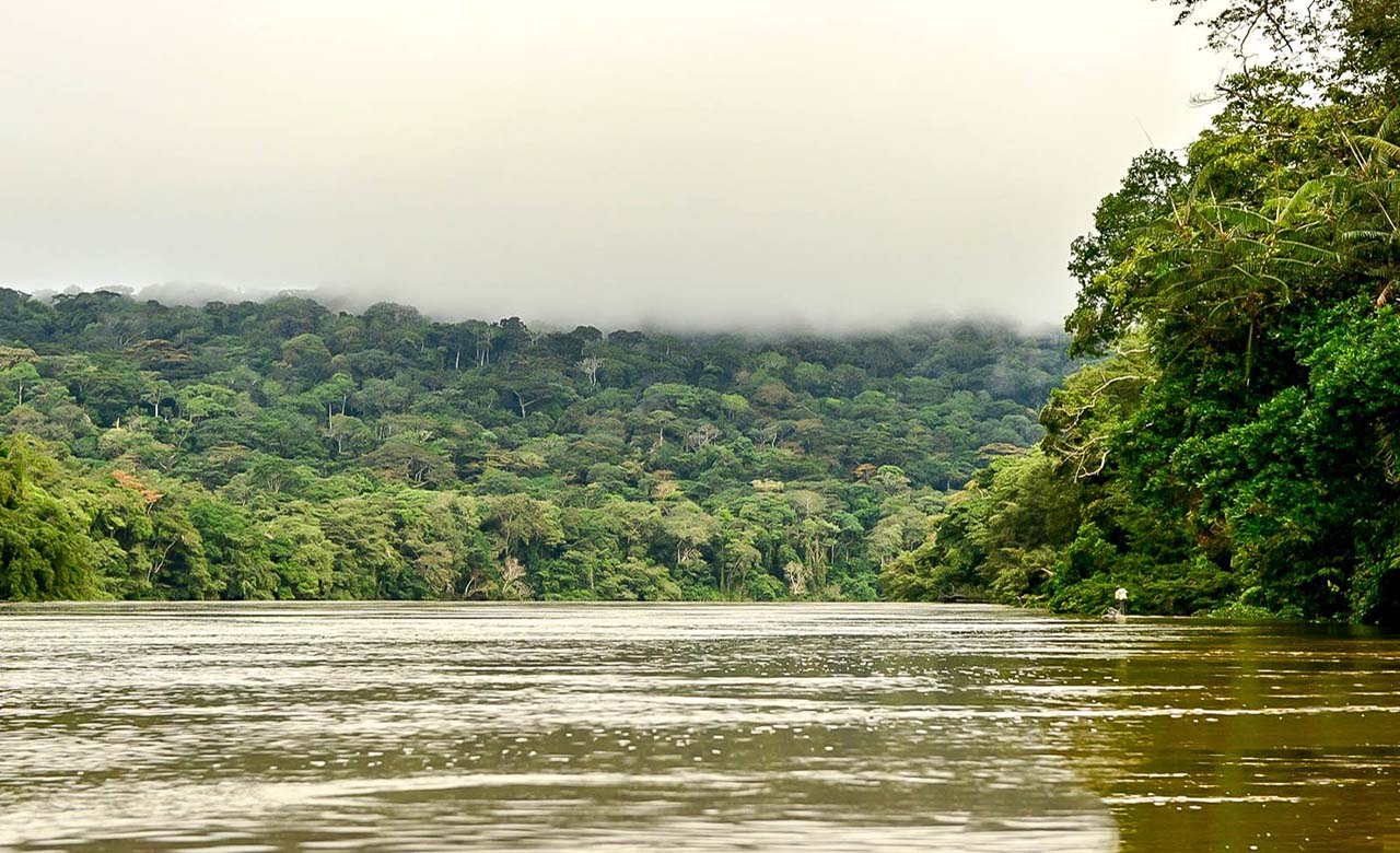 Centrafrique : la société chinoise DSTM promet de remédier aux conséquences de ses exploitations minières sur la rivière Sangha