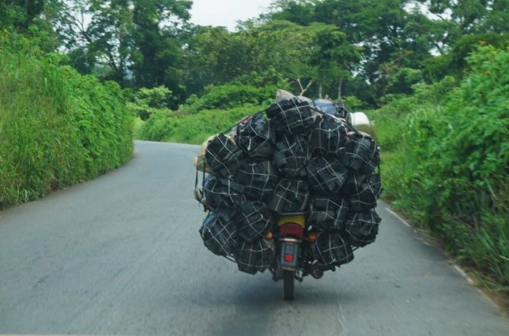 Environnement : l’interdiction d’exportation de charbon et de bois de chauffe en marche