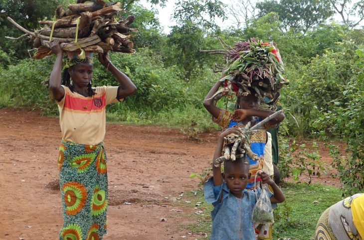 Centrafrique : d’éleveurs en agriculteurs, difficile adaptation des retournés de Djabarona