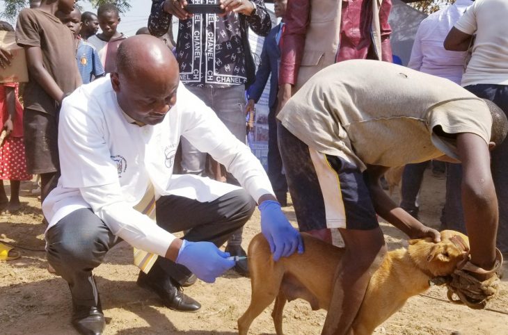 Santé animale : plus de 160.000 doses pour vacciner des animaux de compagnie contre la rage à Bangui