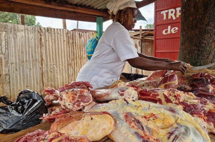 Ndélé : l’insécurité entraîne la hausse du prix de la viande bovine