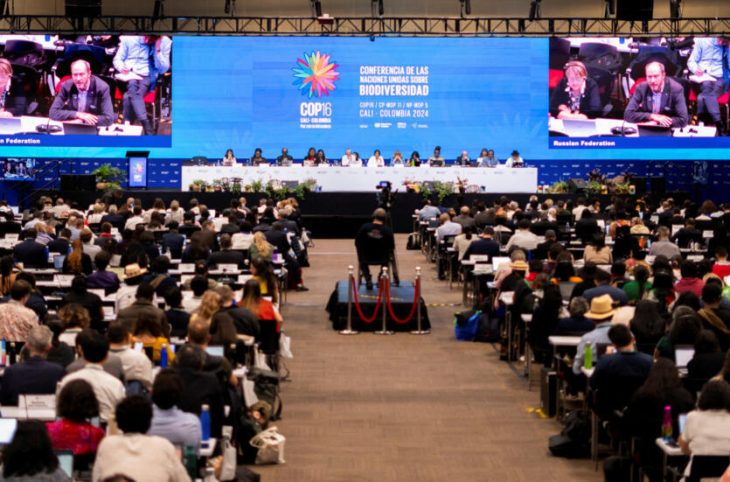 COP-16 : Un bilan mitigé pour la biodiversité à Bogotá