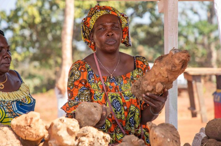 Centrafrique : Kaga-Bandoro célèbre enfin la JMA