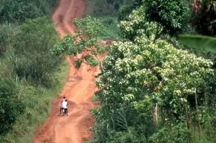 Centrafrique : des femmes de Berberati luttent contre la déforestation