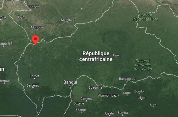 Centrafrique : un nouveau cas de la fièvre de la Vallée du Rift déclaré à Ngaoundaye
