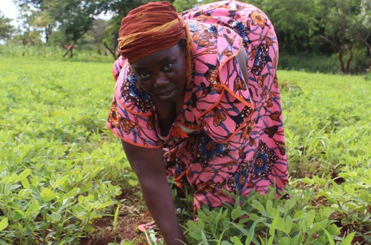 La malnutrition, un enjeu majeur en République centrafricaine
