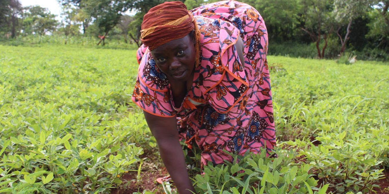 La malnutrition, un enjeu majeur en République centrafricaine