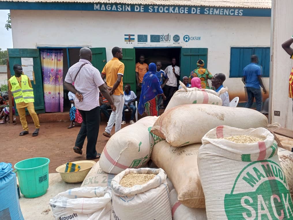 Bria : une foire aux semences pour réussir la prochaine campagne agricole