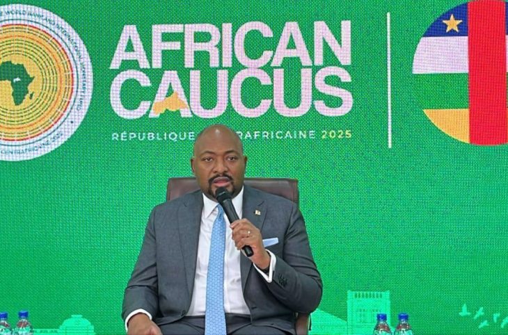 Ouverture à Bangui du Caucus africain des institutions de Bretton Woods