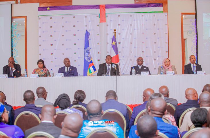 La Centrafrique adopte un plan pour la réintégration des retournés dans l’économie