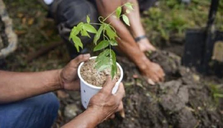 Le gouvernement implique la population de Damara dans la lutte contre le changement climatique