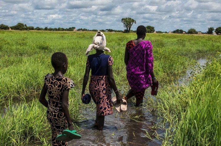 Inondations : destruction des récoltes et contamination des sols