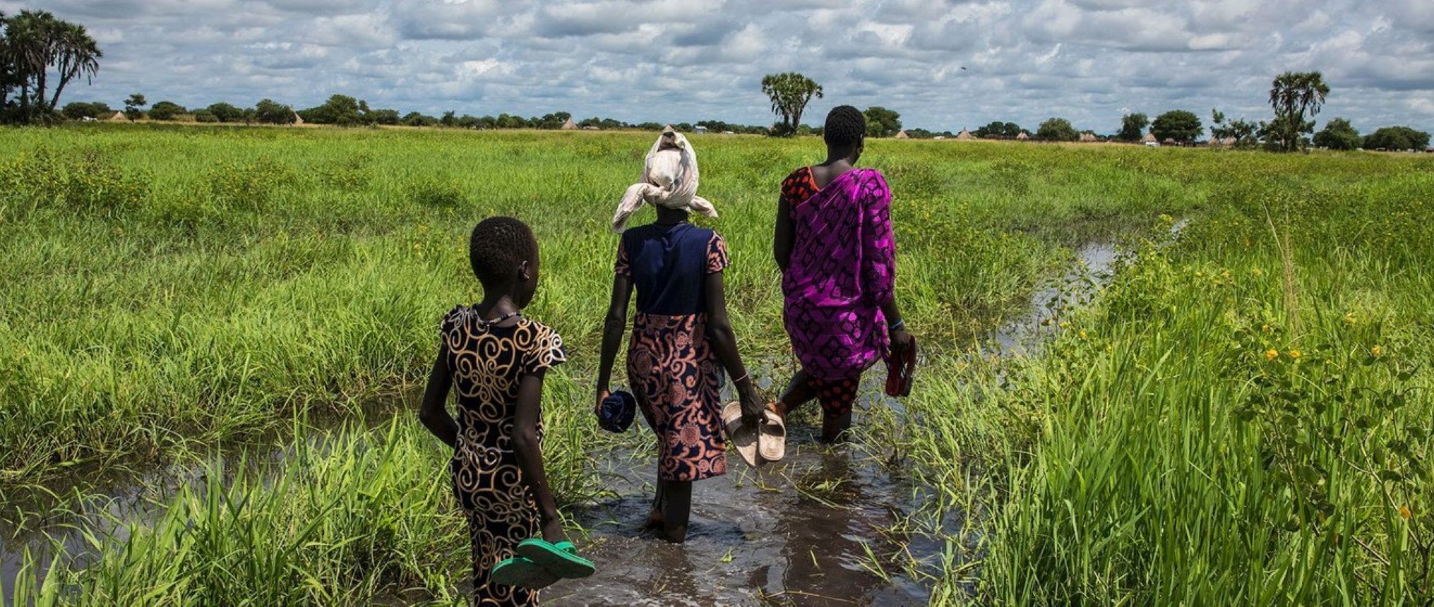 Inondations : destruction des récoltes et contamination des sols