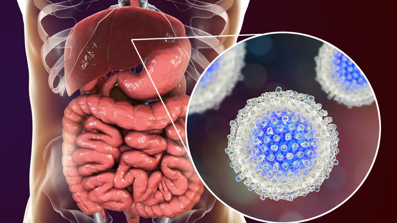 Hépatites : plus de 12.000 personnes touchées cette année en République centrafricaine