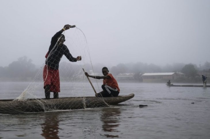 Comment le secteur de la pêche est-il organisé en Centrafrique ?