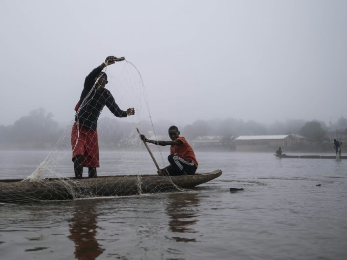 Comment le secteur de la pêche est-il organisé en Centrafrique ?