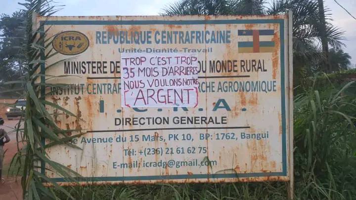 Grogne à l’Institut centrafricain de recherche agronomique : le personnel réclame 35 mois d’arriérés de salaire