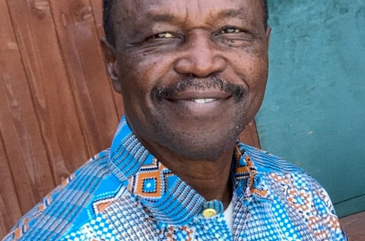 CIDEL : "Nous voulons saturer la RCA par des informations et sensibilisations"