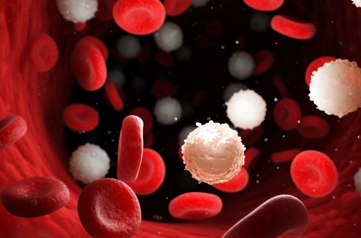 Polyglobulie : quels sont les traitements disponibles ?