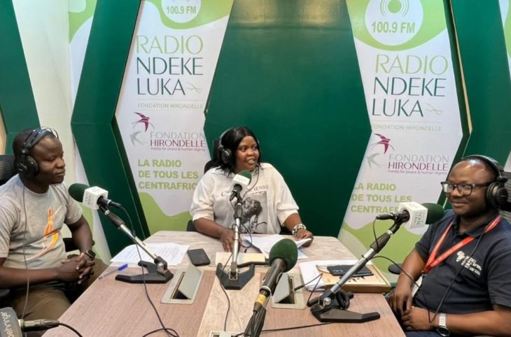 Paludisme en RCA : que dire des causes, conséquences et méthodes de prévention ?