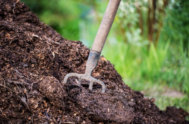 Engrais biologiques : ces fertilisants qui ne subissent aucune transformation chimique