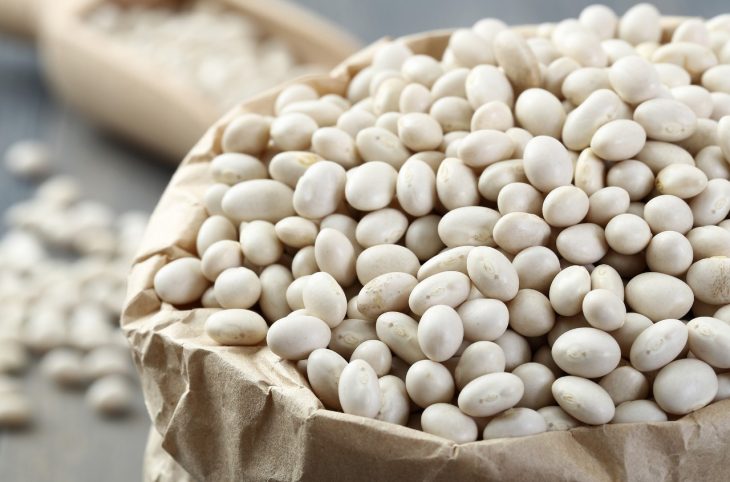 Haricot blanc : riche en protéines et facilitateur du transit intestinal