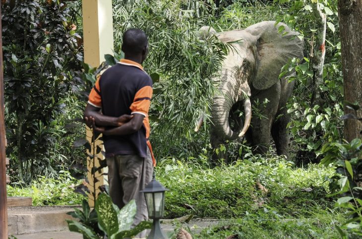 Comment se porte l’industrie touristique en République centrafricaine ?