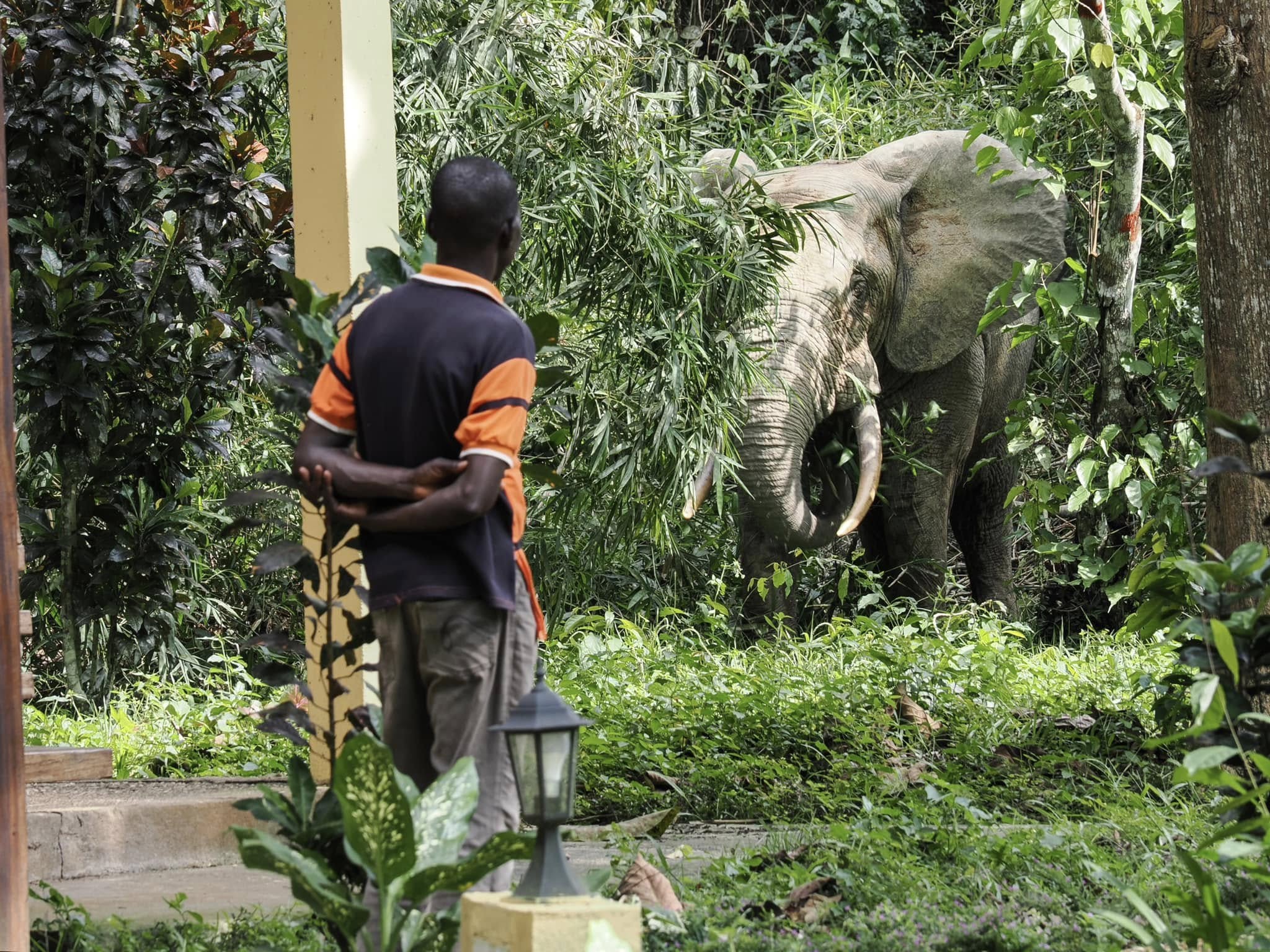 Comment se porte l’industrie touristique en République centrafricaine ?