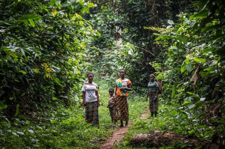COP30 : les peuples autochtones du bassin du Congo craignent un risque élevé de déforestation