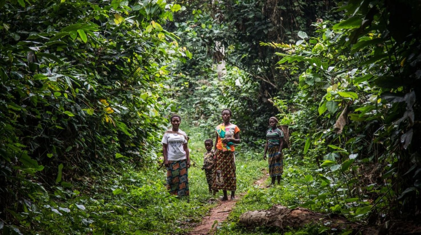 COP30 : les peuples autochtones du bassin du Congo craignent un risque élevé de déforestation
