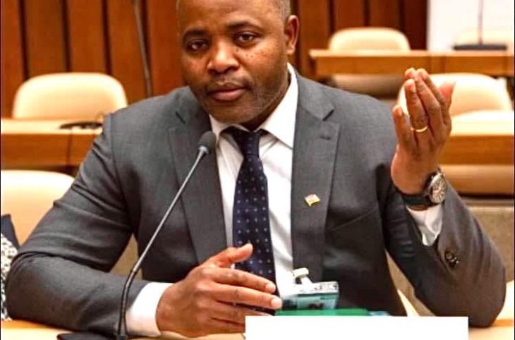 COP30 : la Centrafrique veut faire entendre sa voix sur le climat