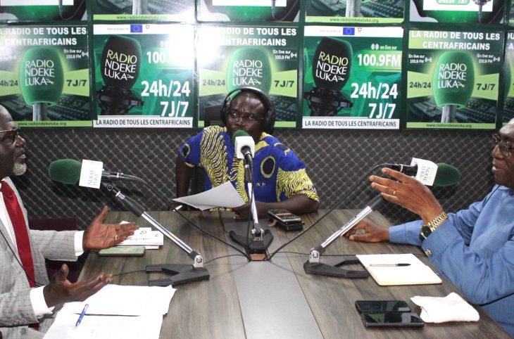 Article 183 de la constitution : un frein à la diversité dans les institutions ?