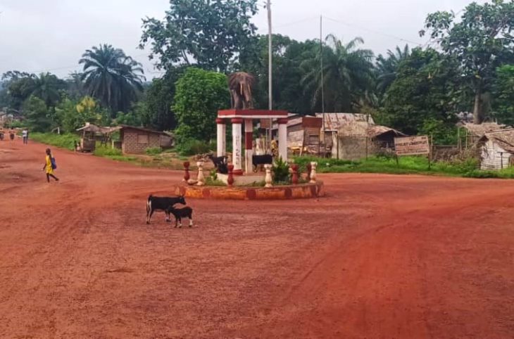 Centrafrique : des disparitions inquiétantes de personnes à Bayanga