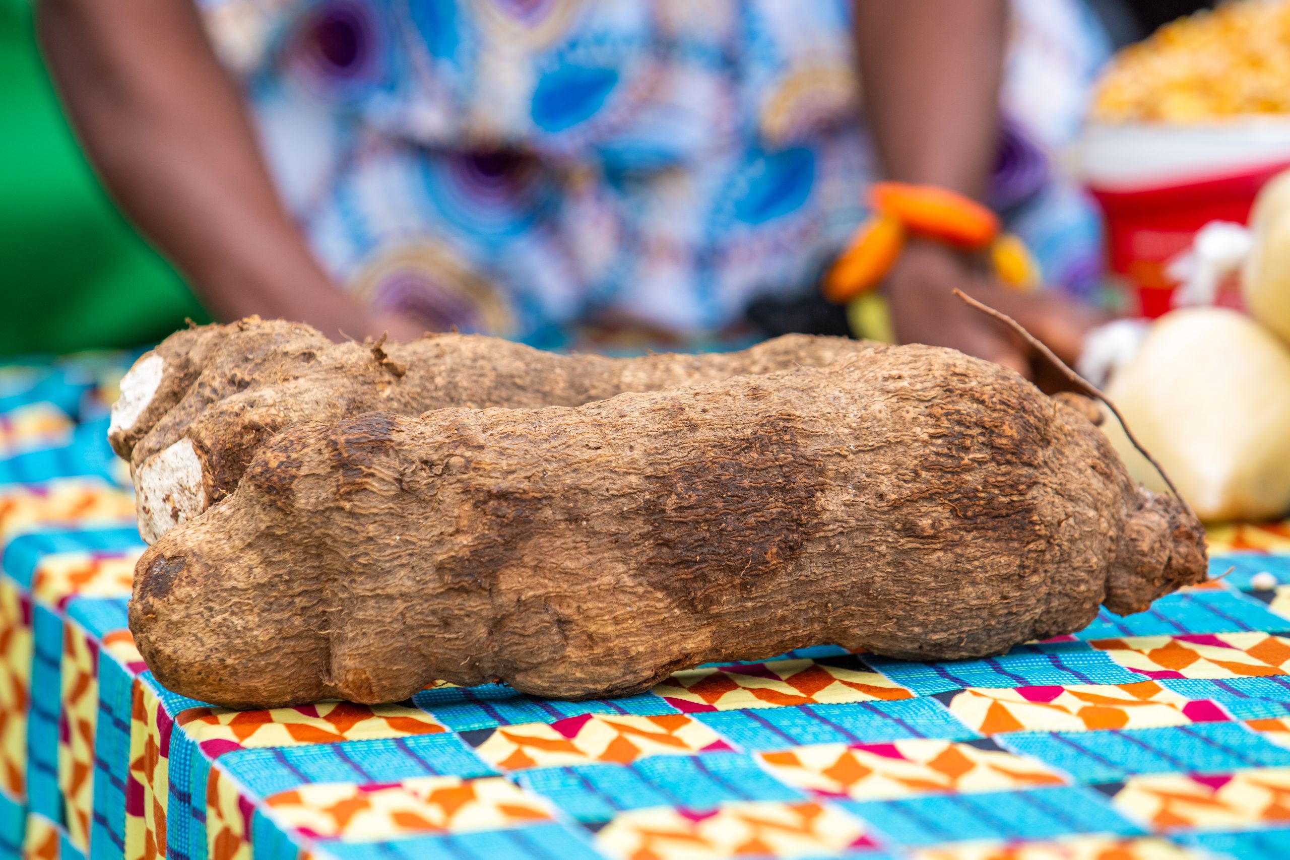 Culture de l’igname : quelles techniques utilisées pour une meilleure production ?